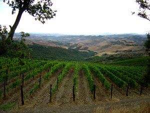 campinuovi-panorama
