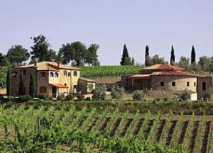 piandellorino-azienda-giorno