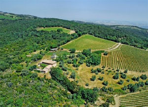 sanpolino-vista