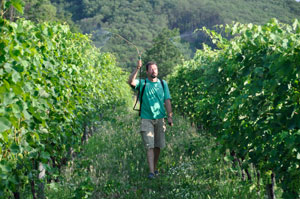 trepoggi-lavori-vigna
