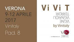 ViViT 2017